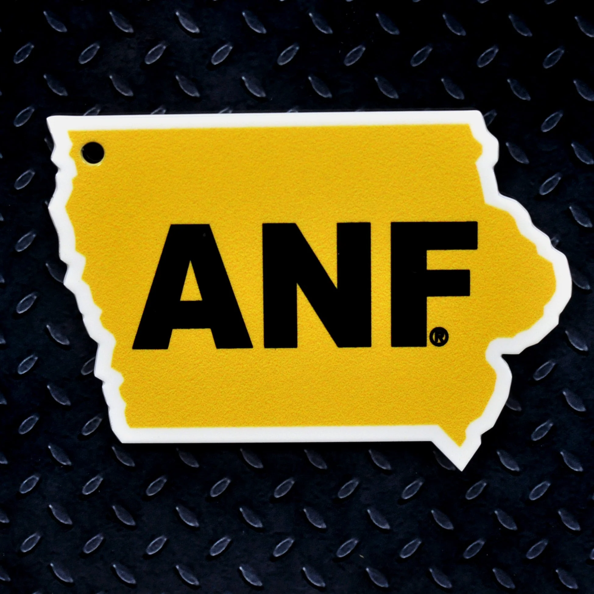 Iowa Hawkeyes - ANF State Steel Super Magnet