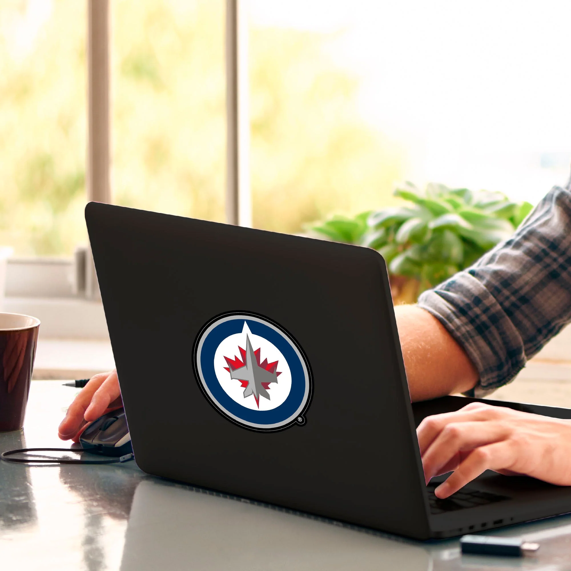NHL - Winnipeg Jets Matte Decal - Image 2